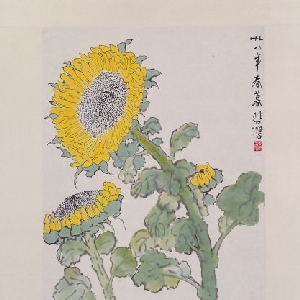 user009507的头像