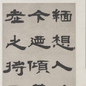 会员头像