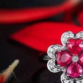 误点的风的头像