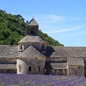 惡鬼的头像