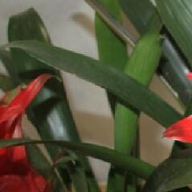 旧时微风拂旧城的头像