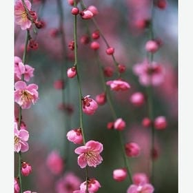 这都不是事的头像