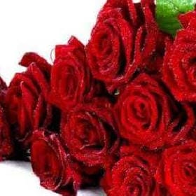 记得回来的头像