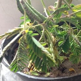 风过柳堤的头像