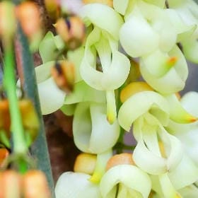 雪埋芳信的头像