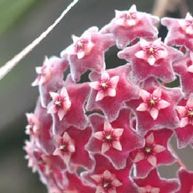 蝉蜕尘埃的头像