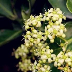 风摇竹露的头像