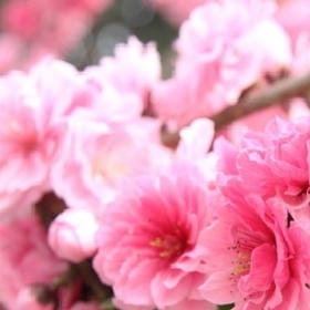 月满棋轩的头像
