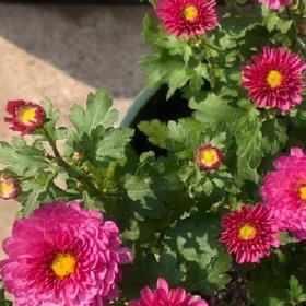 云栖鹤踪的头像