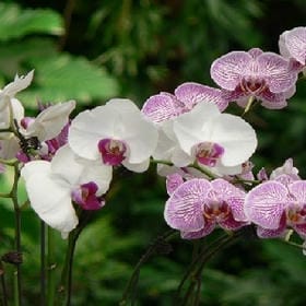 原谅你忘掉约定的头像