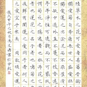 蝶恋花的头像