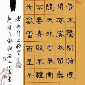 回首观望的头像