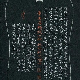 从来不是我的头像