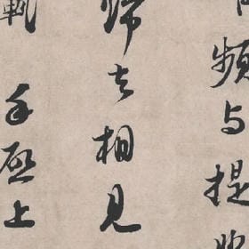迷上你的野性的头像
