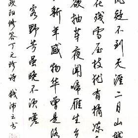 伤她心断他念的头像