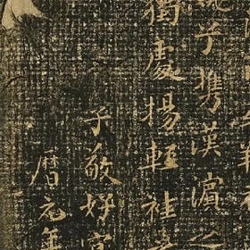 野性驾驭的头像
