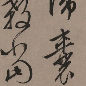 巷子里的野猫的头像