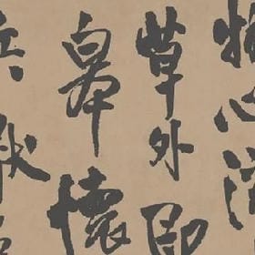 user006195的头像