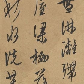 野味小仙女的头像