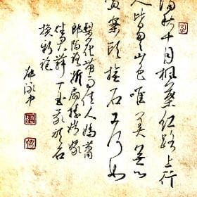 眉间痣的头像