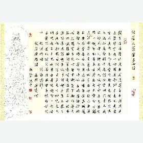 牵猫散步的鱼的头像