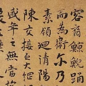 user006750的头像