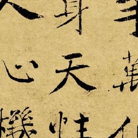 淡紫珊瑚的头像
