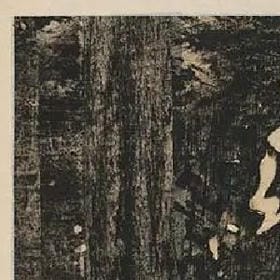 缱绻草莓的头像