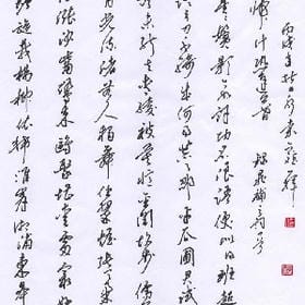 user007407的头像