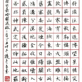 vip007561的头像