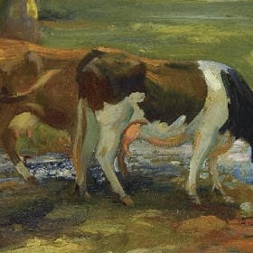 守护小丫头的头像