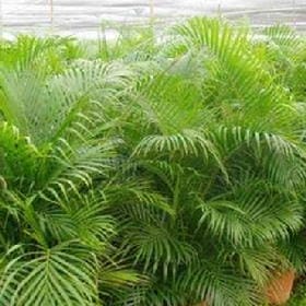 被温柔宠坏的头像