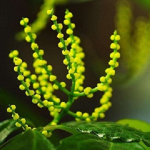 你勾去我的魂的头像