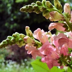 那一世.浮云的头像