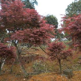 无所谓忧喜的头像