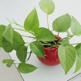 琳开韵味沟的头像