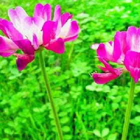 世界无童话的头像