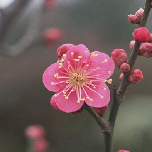 听说蓝又时的头像