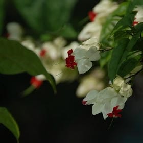 紫醉琴缘的头像