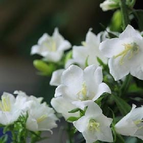 我等风也等你的头像