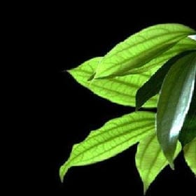 潮流范儿的头像