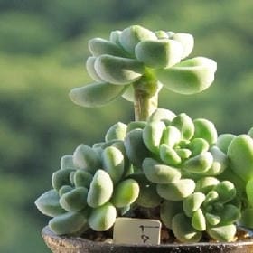 竹隐寒烟的头像