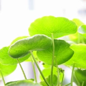 我矮得能够让你抬不起头的头像
