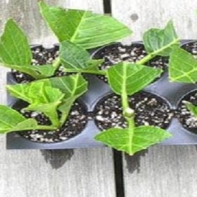 心碎竟然那么痛的头像