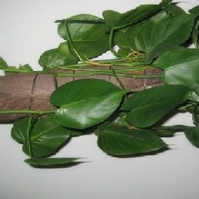 时光已逝的头像