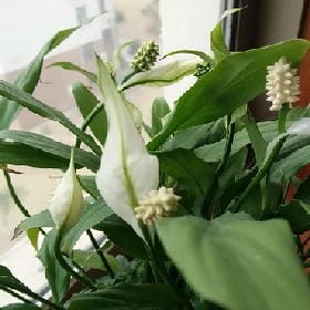 爱到深处衣自脱的头像