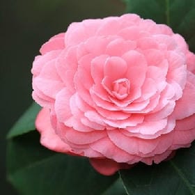 解释也是剩余的的头像
