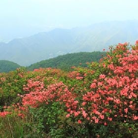 时光末路的头像