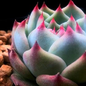 user010980的头像