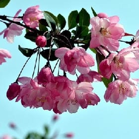 赴一场情深似海的头像